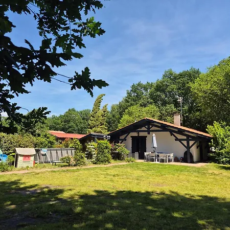 La Petite Du Hardit Gasthuis *